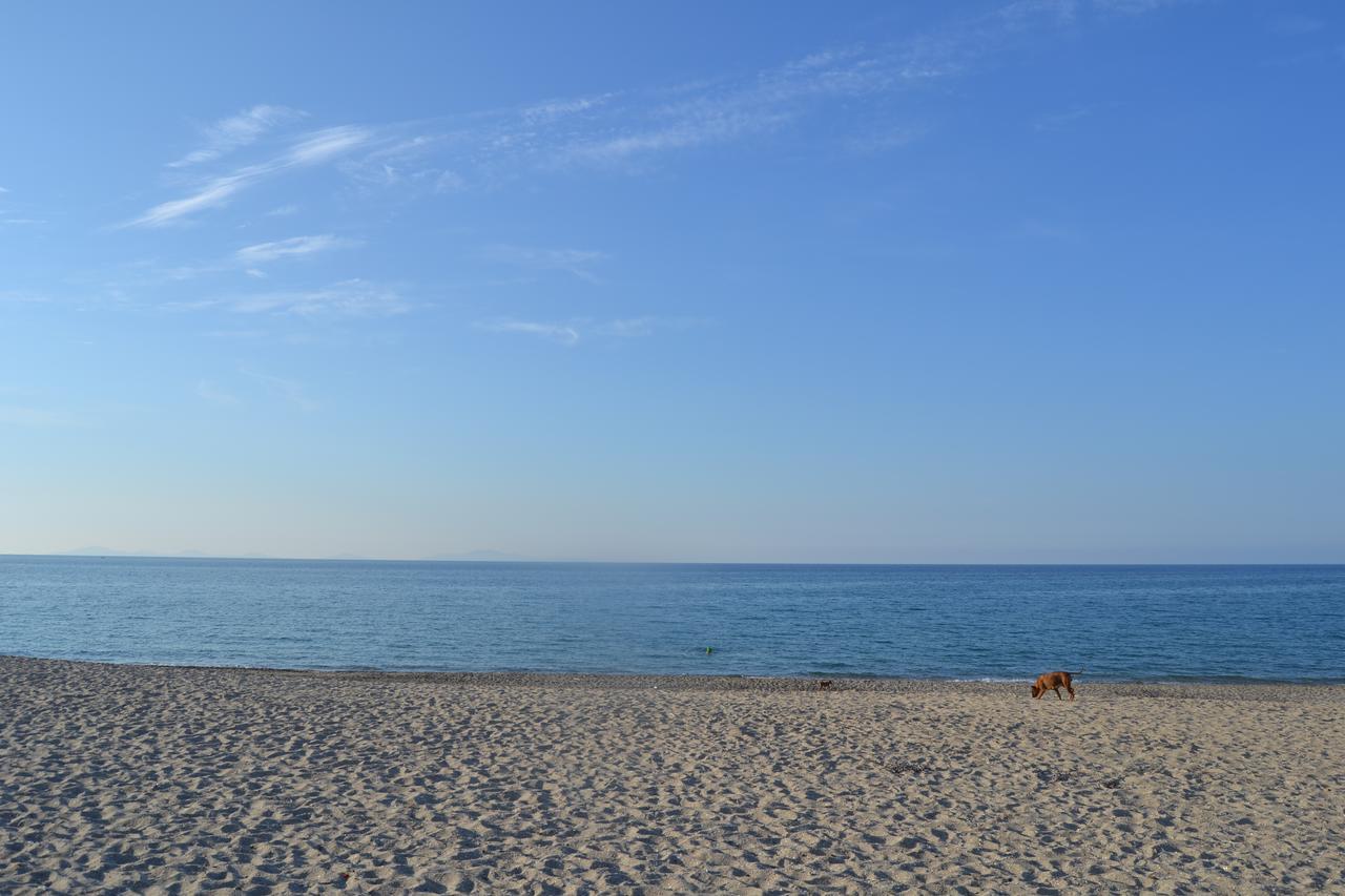 Miramare Struttura Sulla Spiaggia プラタモナ エクステリア 写真